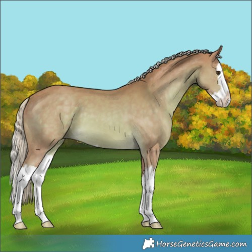Horse Color:Watercolor Palomino Splash 