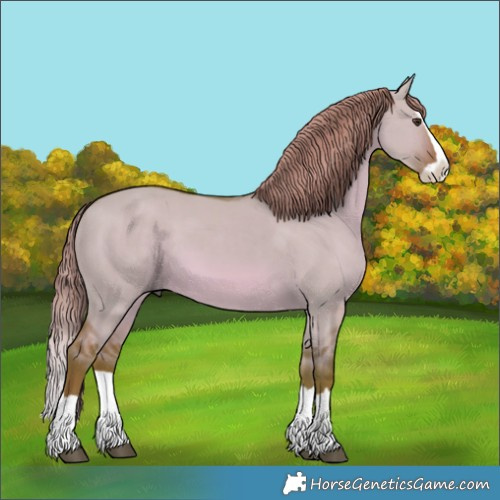 Horse Color:Watercolor Red Dun Splash 