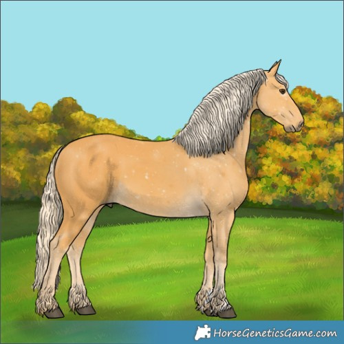 Horse Color:Palomino 