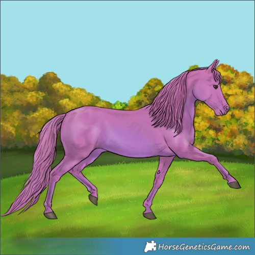 Horse Color:Watercolor Chestnut 