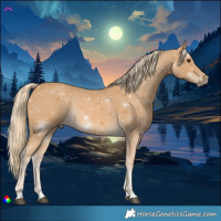Horse Color:Palomino