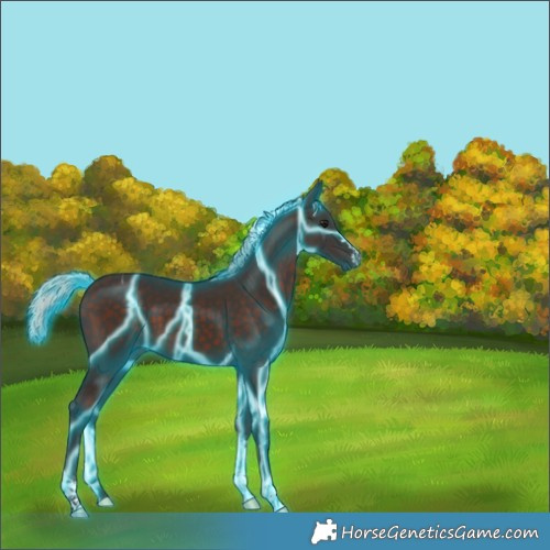 Horse Color:Thunderstruck Silver Brown Tobiano