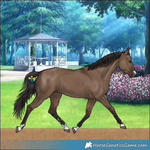 Horse Color:Liver Red Dun 