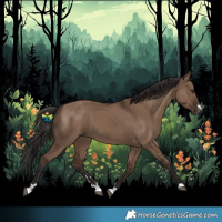 Horse Color:Liver Red Dun 