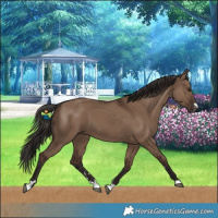 Horse Color:Liver Red Dun 