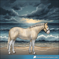 Horse Color:Palomino Roan Splash