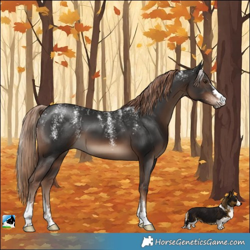 Horse Color:Powder White Liver Chestnut