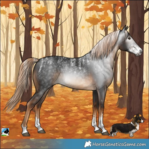 Horse Color:Powder White Gray Chocolate Palomino Sabino 