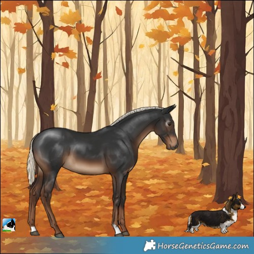 Horse Color:Gray Liver Chestnut Mushroom 