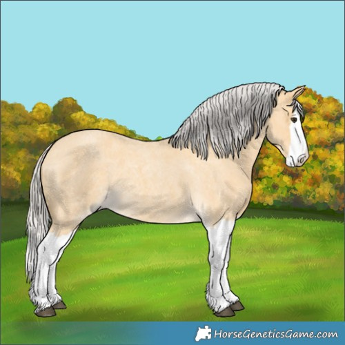 Horse Color:Silver Buckskin Roan Splash
