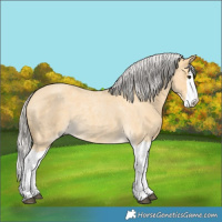 Horse Color:Silver Buckskin Roan Splash