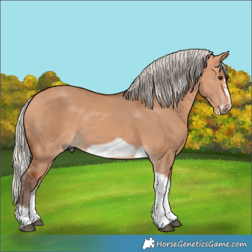 Horse Color:Silver Bay Dun Sabino Tobiano Frame Rabicano 