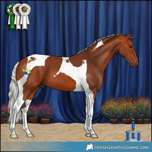 Horse Color:Silver Bay Tobiano