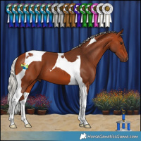 Horse Color:Silver Bay Tobiano 