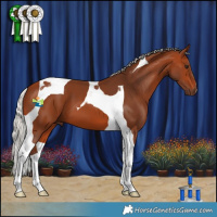 Horse Color:Silver Bay Tobiano 