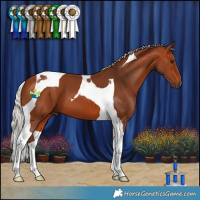 Horse Color:Silver Bay Tobiano 