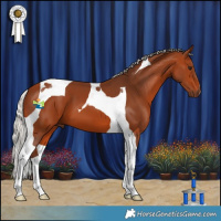 Horse Color:Silver Bay Tobiano 