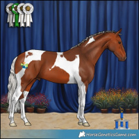 Horse Color:Silver Bay Tobiano