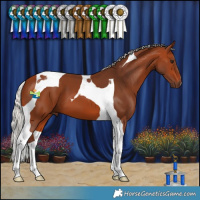 Horse Color:Silver Bay Tobiano