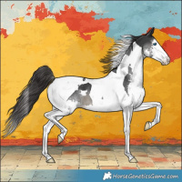 Horse Color:Black Splash Tobiano Varnish 