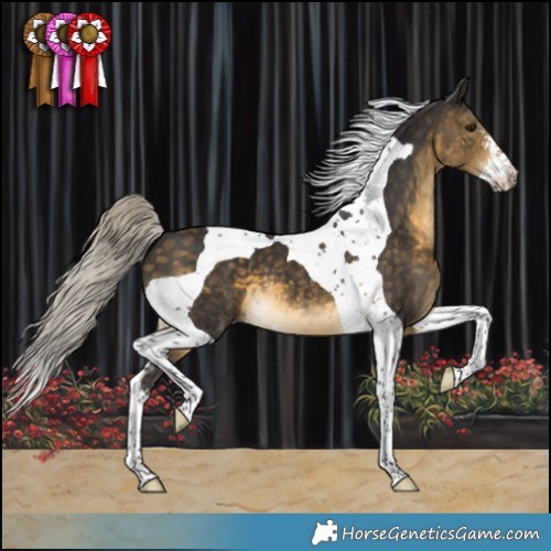 Horse Color:Silver Buckskin Sabino Tobiano 