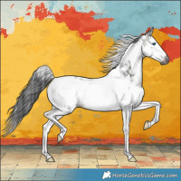 Horse Color:Gray Buckskin Splash Tobiano 