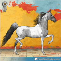 Horse Color:Gray Smoky Blue Roan Tobiano Appaloosa Rabicano 