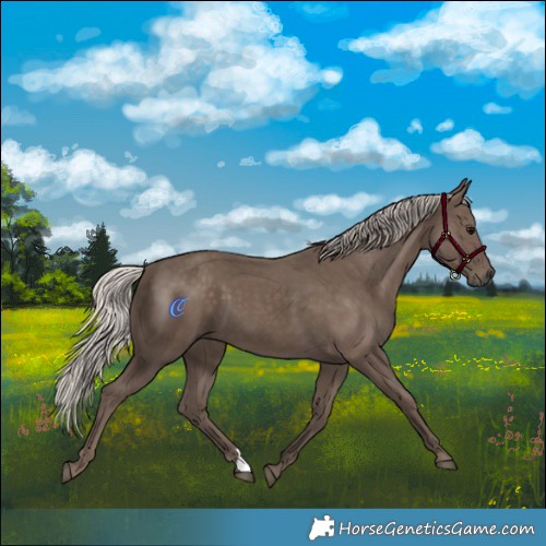 Horse Color:Silver Black 