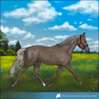 Horse Color:Silver Black 