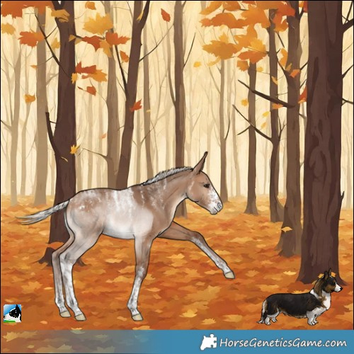 Horse Color:Powder White Silver Bay Dun Sabino Rabicano