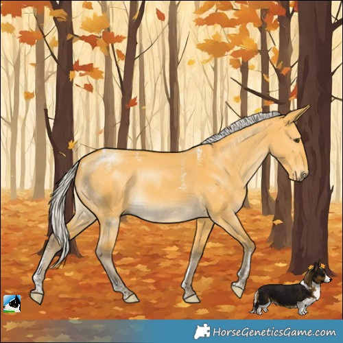 Horse Color:Powder White Silver Buckskin Dun 