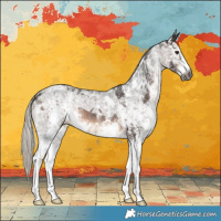 Horse Color:Gray Silver Brown Ice Sabino 