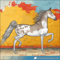 Horse Color:Gray Silver Grullo Splash Appaloosa Brindle