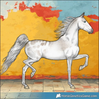 Horse Color:Gray Silver Grullo Splash Blanket Brindle 