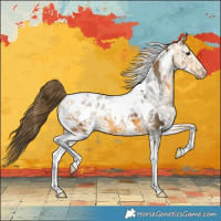 Horse Color:White Spotted Buckskin Ice Appaloosa 