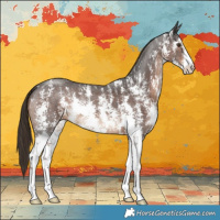 Horse Color:Liver Chestnut Sabino 