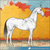 Horse Color:White Spotted Grullo Ice Sabino Blanket 