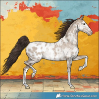 Horse Color:Liver Red Dun Ice Sabino Appaloosa 