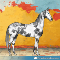 Horse Color:White Spotted Black Splash