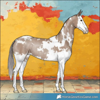 Horse Color:White Spotted Classic Champagne Splash Rabicano 