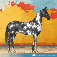 Horse Color:White Spotted Black 