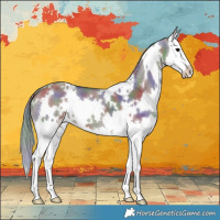 Horse Color:Nacre White Spotted Grullo Splash 