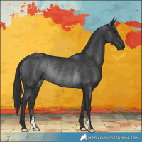 Horse Color:Black Rabicano 