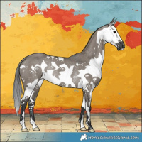 Horse Color:Grullo Splash Rabicano 