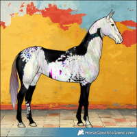 Horse Color:Nacre Bay Ice Dun Tobiano Varnish 