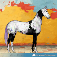 Horse Color:Gray Watercolor Grullo Ice Splash Tobiano 