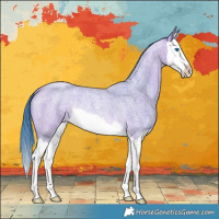 Horse Color:Watercolor Sable Champagne Roan Splash Rabicano 
