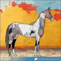 Horse Color:Nacre Grullo Tobiano Varnish 