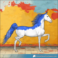 Horse Color:Watercolor Black Splash 