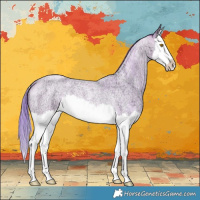 Horse Color:Watercolor Amber Champagne Ice Roan Splash Rabicano